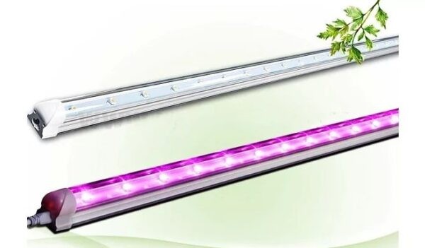 Фитолампа для растений какую выбрать для рассады: рейтинг ТОП-10 лучших моделей