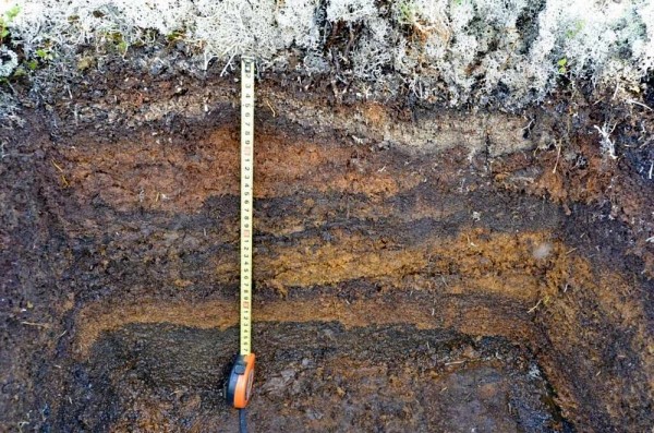 Какой фундамент выбрать для бани из бруса: рассматриваем самые популярные варианты Какой фундамент выбрать для бани из бруса: рассматриваем самые популярные варианты