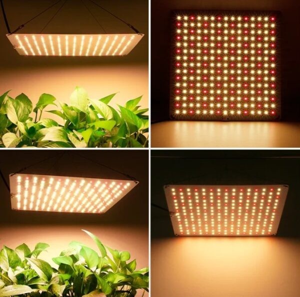 Фитолампа для растений какую выбрать для рассады: рейтинг ТОП-10 лучших моделей