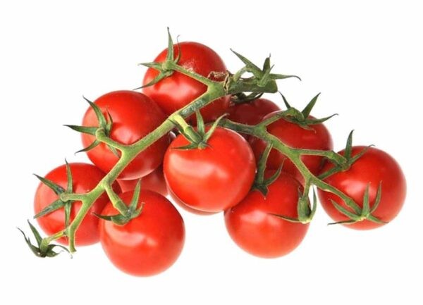 Лучшие сорта томатов для теплицы: Топ 33 видов помидор для выращивания в различных регионах