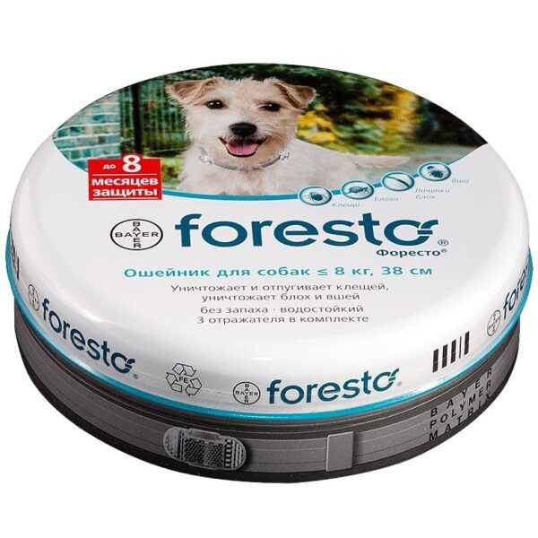 Лучшее средство от клещей: ТОП-16 препаратов для обработки участка, для защиты людей и домашних животных Лучшее средство от клещей: ТОП-16 препаратов для обработки участка, для защиты людей и домашних животных