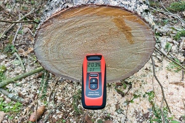 Из какого дерева лучше строить баню: как правильно выбрать материал и не прогадать