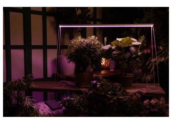 Фитолампа для растений какую выбрать для рассады: рейтинг ТОП-10 лучших моделей