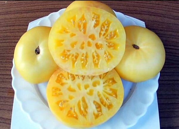 Лучшие сорта томатов для теплицы: Топ 33 видов помидор для выращивания в различных регионах