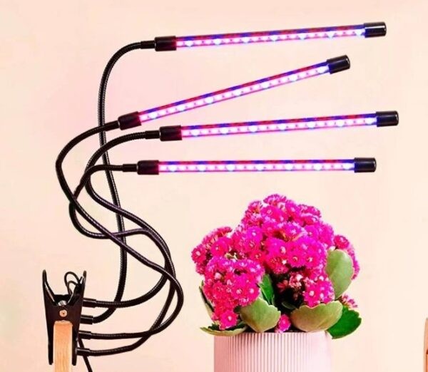 Фитолампа для растений какую выбрать для рассады: рейтинг ТОП-10 лучших моделей