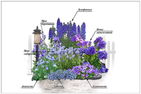 Миксбордеры из многолетников в ландшафтном дизайне
