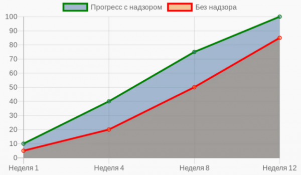 Процесс работы студии дизайна: этапы, сроки и контроль