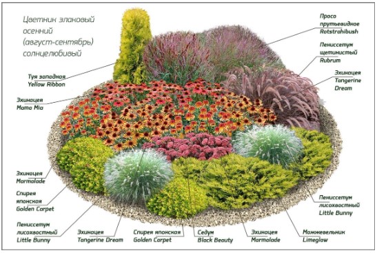Миксбордеры из многолетников в ландшафтном дизайне