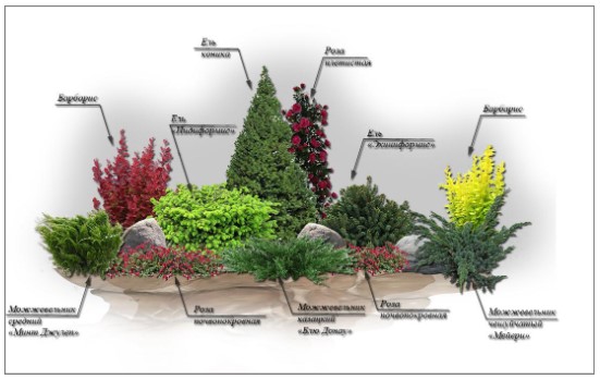 Миксбордеры из многолетников в ландшафтном дизайне