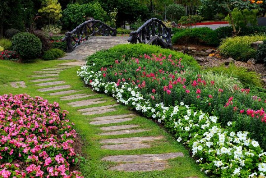 Миксбордеры из многолетников в ландшафтном дизайне