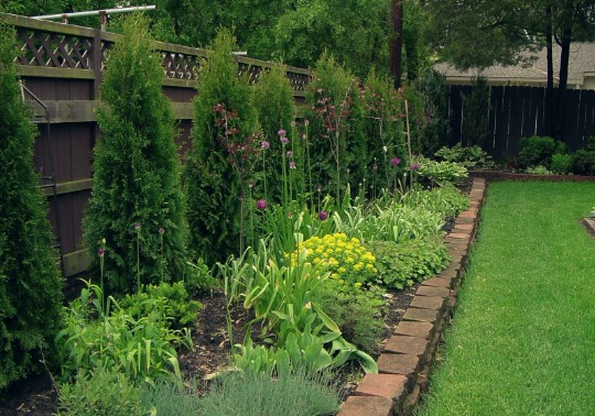 Миксбордеры из многолетников в ландшафтном дизайне