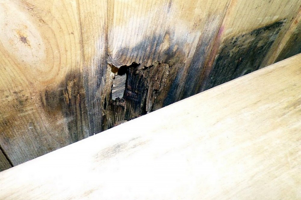 Чем покрыть вагонку в бане, чтобы она долго не гнила и не портилась