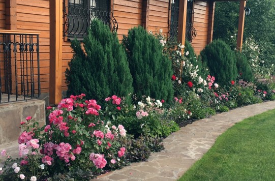 Миксбордеры из многолетников в ландшафтном дизайне