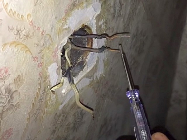 Трещит и искрит розетка: причины, как устранить неисправность и возможные последствия