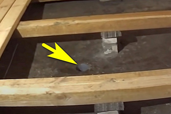 Доска для пола в баню &mdash; какая нужна и варианты ее использования