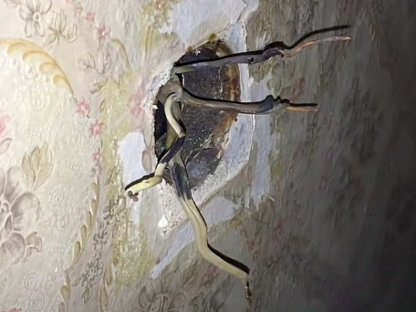 Трещит и искрит розетка: причины, как устранить неисправность и возможные последствия