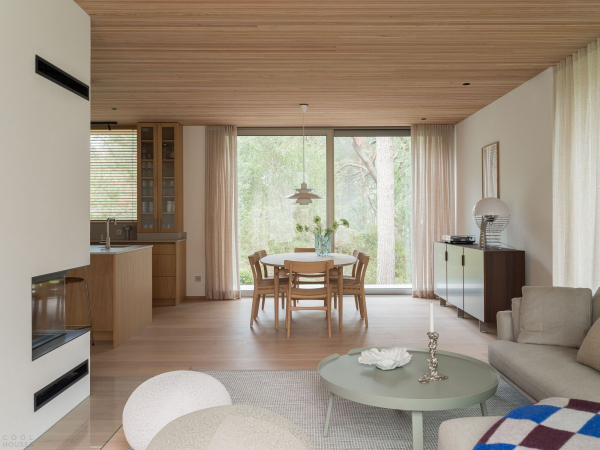 Современный скандинавский дом с гармоничным дизайном