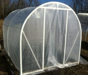 Простая теплица для дачников во время самоизоляции: пошаговая инструкция и необходимые материалы