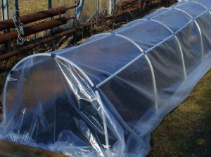 Простая теплица для дачников во время самоизоляции: пошаговая инструкция и необходимые материалы