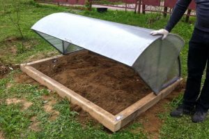 Простая теплица для дачников во время самоизоляции: пошаговая инструкция и необходимые материалы