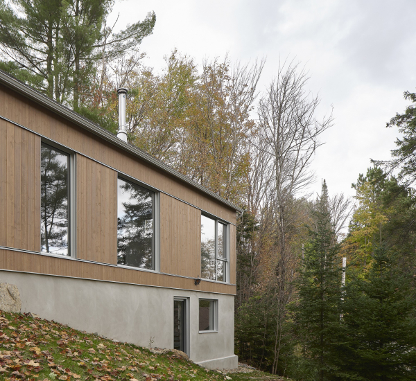 Шале, вдохновленное морфологией места