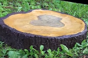 Отвод воды от фундамента дома своими руками: почему так важен и как сделать правильно