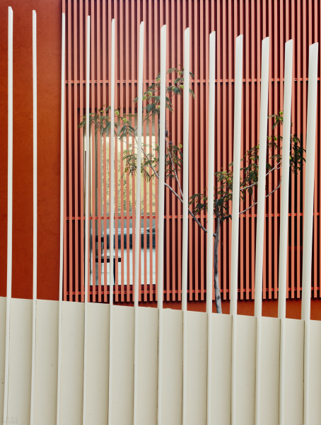 Дом, адаптированный к экстремально крутому склону Дом, адаптированный к экстремально крутому склону