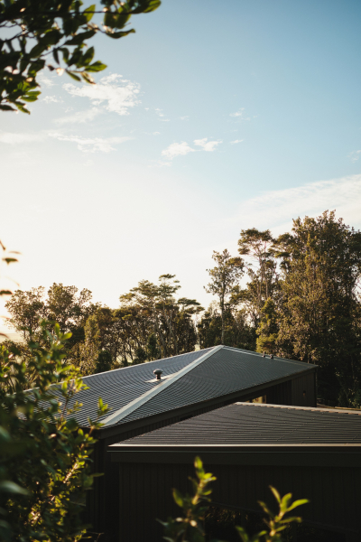 Устойчивая резиденция в гармонии с природой Устойчивая резиденция в гармонии с природой