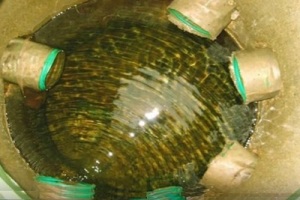 Отвод воды от фундамента дома своими руками: почему так важен и как сделать правильно